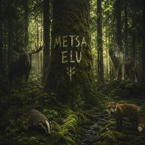 Metsa elu