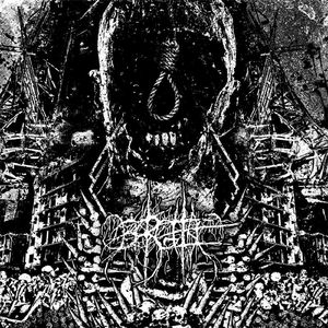 Our Last Night on Earth