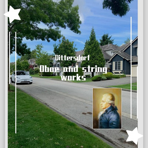 Oboe Concerto in D Major：II. Adagio