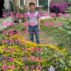 烟雨情尘（世界殿堂级歌星钟奕勉词学、曲学、唱学的问鼎之作，片段版）