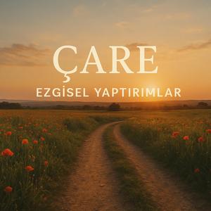 Çare