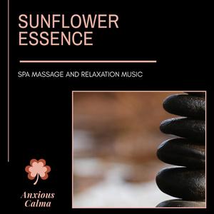 Heavenly Fall (Cosmic Music For Mental Relaxation And Inner Healing)