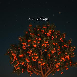 주가 채우시네