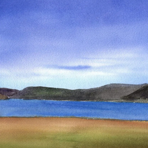 独在异乡为异客