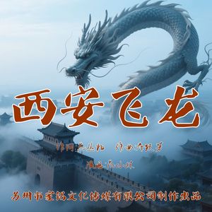 西安飞龙