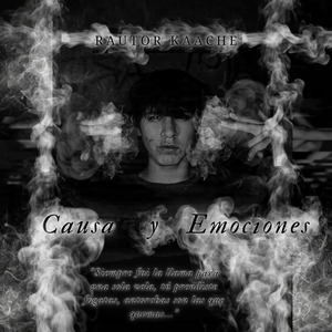 Causa y Emociones