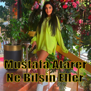 Ne Bilsin Eller