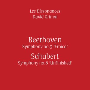Symphony No. 3 in C Minor, Op. 55 "Eroica": IV. Finale (Allegretto mesto - Poco andante - Presto) (Live)