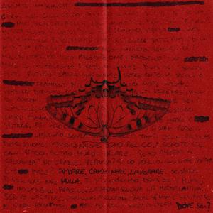 ANIMALI MASCHERATI (feat. Neerea)