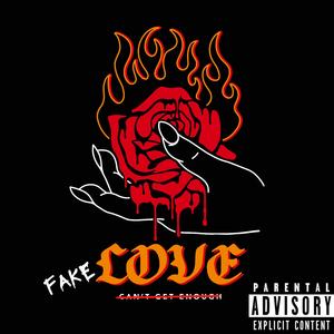 Fake Love (feat. BCK)