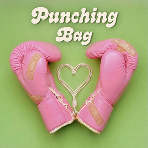 Punching Bag
