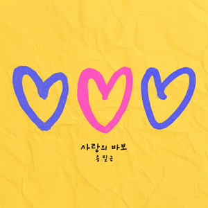 사랑의 바보