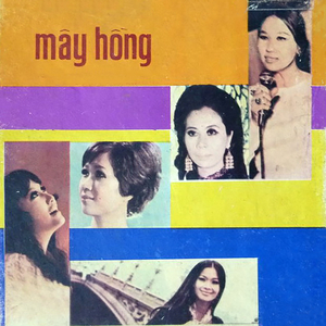 Nắng Chiều