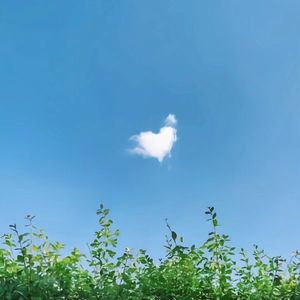 想为你写首情歌