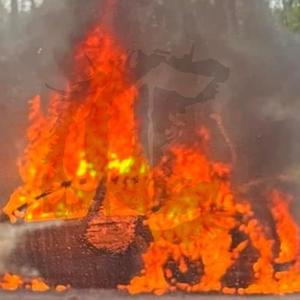 Bad Bitch (feat. Emo Fruits)