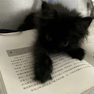 算了