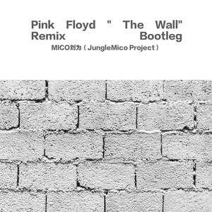 Pink Floyd / Roger Waters-"Another Brick in the Wall" Remix Bootleg（MICO刘为（JungleMico Project） remix）