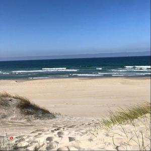 Stages (feat. Kzoba & thxr!)