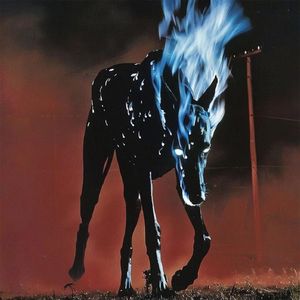 Dio_ trap x freestyle type beat