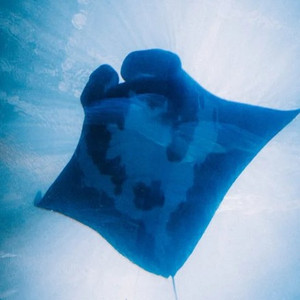 别来烦我使劲摇