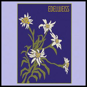 Edelweiss