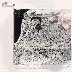 DPZ (Foxes in Fiction Remix) (Remix)