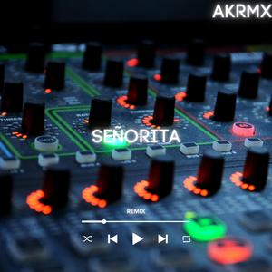 Señorita (Remix)
