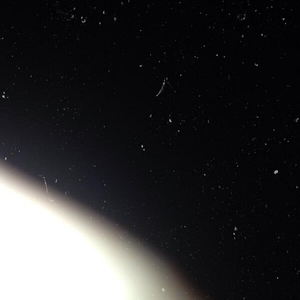 I Will Dream Of You Tonight