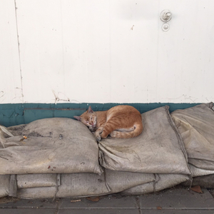 ถอนหายใจ