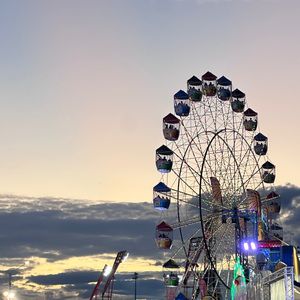 失约海2.0_金凌summer