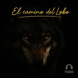 Silencio de Acero