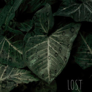Lost