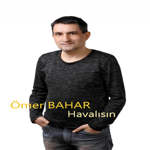 Havalısın
