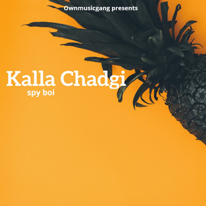 Kalla Chadgi