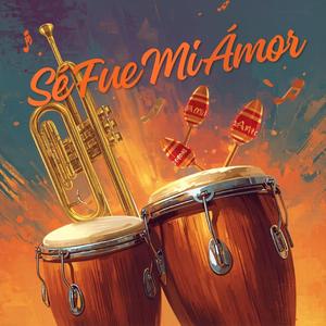 Se Fue Mi Amor