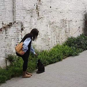 若即若离（女声吉他伴奏版）