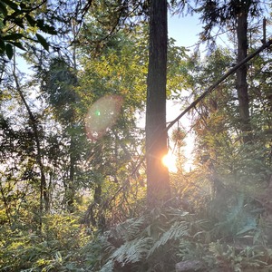 太空垃圾回收站