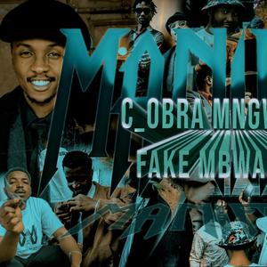 FAKE