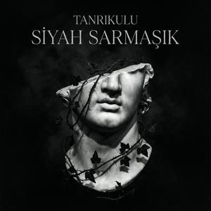 Siyah Sarmaşık