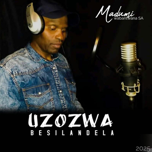 Uzozwa Besilandela
