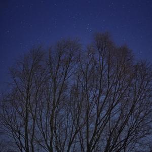 逃（Prod.No Birthday）