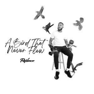 A Bird That Never Flew (feat. Kamikwazi)