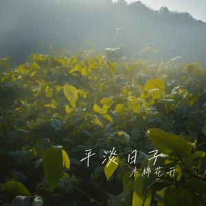 让我再看你一眼 伴奏