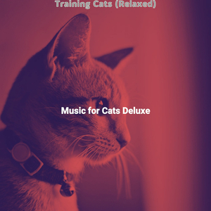 Caring (Training Cats)