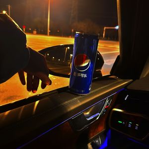 特别的人(Live)阿刚