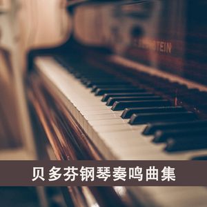 贝多芬 悲怆奏鸣曲 第一乐章 Op.13
