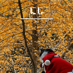 赤とんぼ（Aka Tombo）