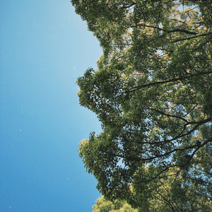 September (kalimba version)