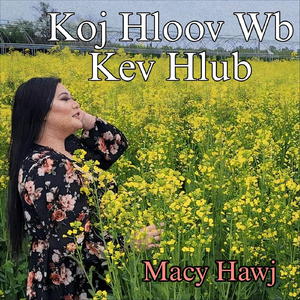 Koj Hloov Wb Kev Hlub