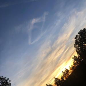 Emotistikas Beruhigungsklavier - Träumen im Odenwald (Relaxing Piano Sleep Music Calm down)